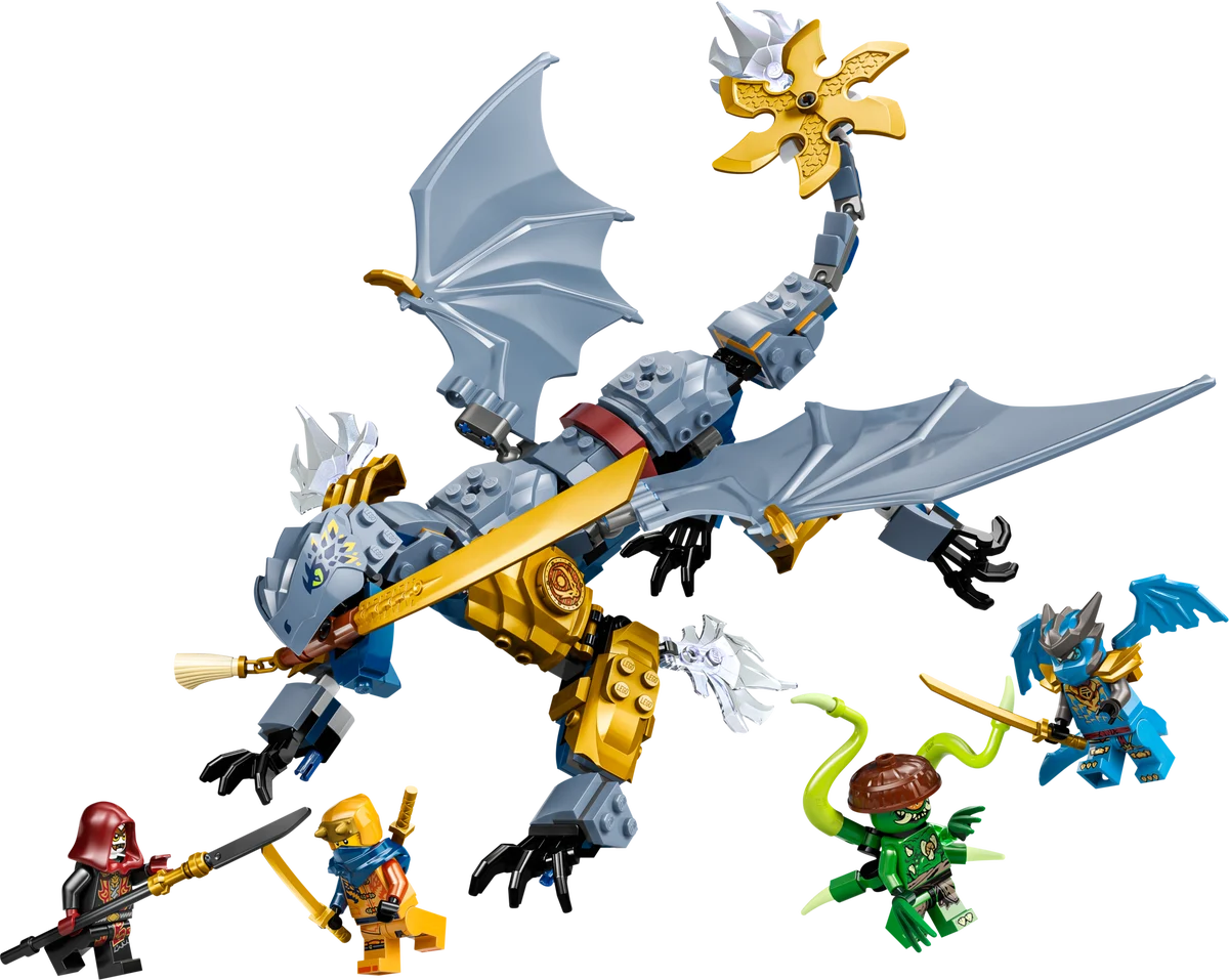 LEGO 71855 Ninja Dragon Riyu’s Battle