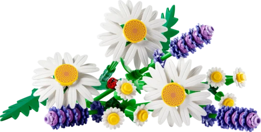 LEGO 11508 Daisies