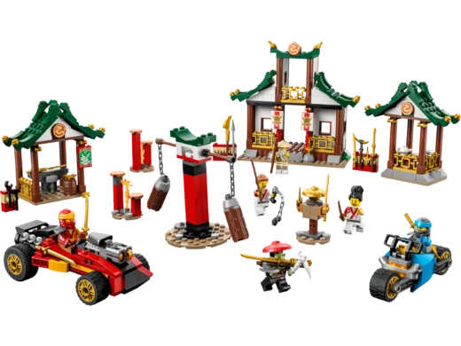 LEGO 71787 Creative Ninja Brick Box