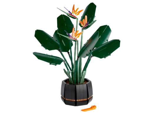 LEGO 10289 Bird of Paradise
